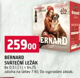 Terno Bernard sváteční ležák nabídka