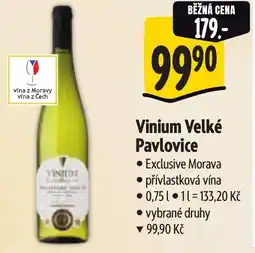 Albert Vinium Velké Pavlovice nabídka