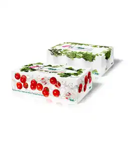 Tamda Foods Tento papírové utěrky (box) 1balení nabídka