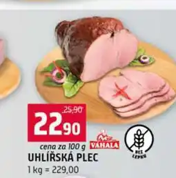 Terno UHLÍŘSKÁ PLEC 100g nabídka
