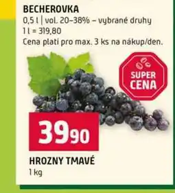 Terno BECHEROVKA 0,5l vol. 20-38% vybrané druhy nabídka