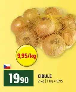 Terno CIBULE 2 kg nabídka
