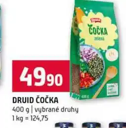 Terno DRUID ČOČKA 400 g vybrané druhy nabídka