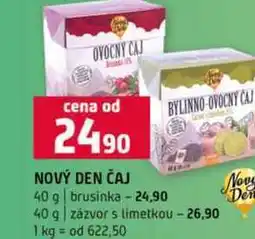 Terno NOVÝ DEN ČAJ 40 g brusinka 40 g zázvor s limetkou nabídka