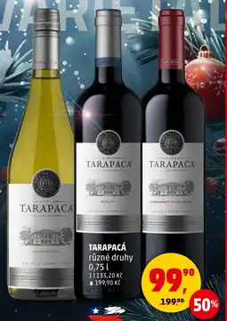 Penny Market Tarapacá nabídka