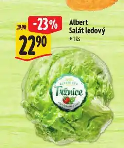 Albert Salát ledový nabídka
