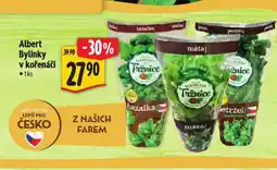 Albert Bylinky v kořenáči nabídka