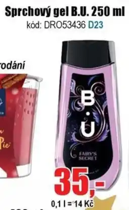 EVA Sprchový gel B.U. nabídka