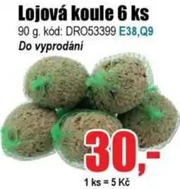 EVA Lojová koule nabídka