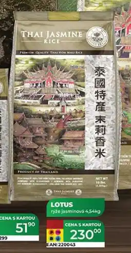 Tamda Foods LOTUS 4,54 kg nabídka