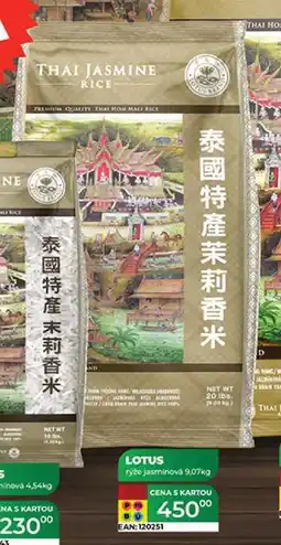 Tamda Foods LOTUS 9,07 kg nabídka