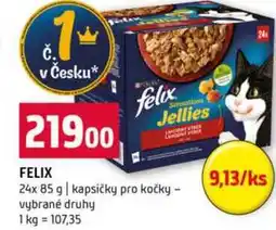 Terno Felix 24x 85 g kapsičky pro kočky vybrané druhy nabídka