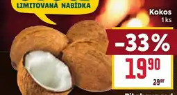Billa Kokos nabídka