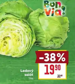 Billa Ledový salát nabídka