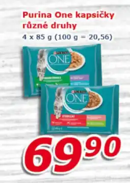 ESO MARKET PURINA ONE Kapsičky různé druhy nabídka