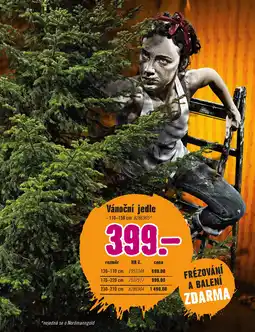 Hornbach Vánoční jedle nabídka