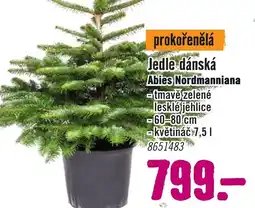 Hornbach Jedle dánská nabídka