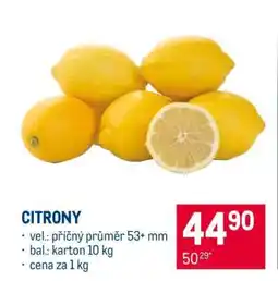Makro Citrony nabídka