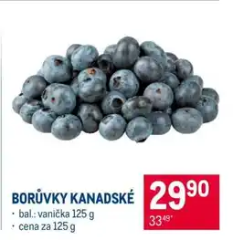 Makro Borůvky kanadské nabídka