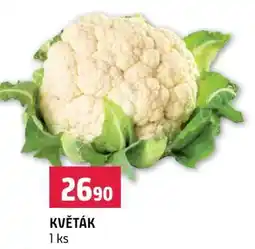 Terno Květák nabídka