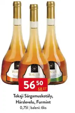 Qanto Tokaji Sárgamuskotály, Hárslevelu, Furmint nabídka