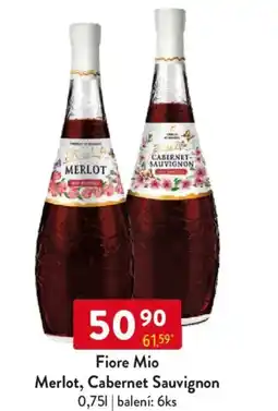 Qanto Fiore Mio Merlot, Cabernet Sauvignon nabídka