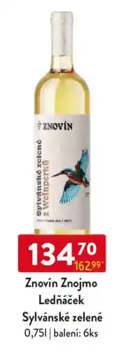 Qanto Znovín Znojmo Ledňáček Sylvánské zelené nabídka