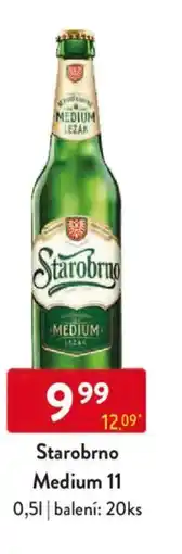 Qanto Starobrno Medium 11 nabídka