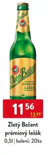 Qanto Zlatý Bažant prémiový ležák nabídka