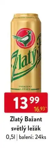 Qanto Zlatý Bažant světlý ležák nabídka