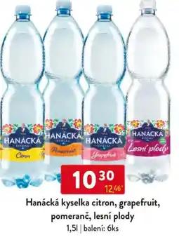 Qanto Hanácká kyselka citron, grapefruit, pomeranč, lesní plody nabídka