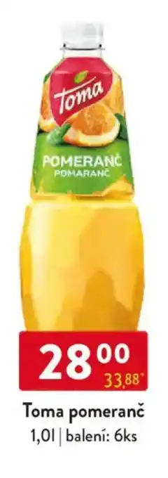 Qanto Toma pomeranč nabídka