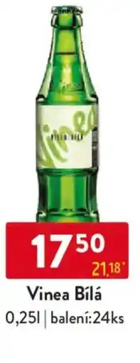 Qanto Vinea Bílá nabídka