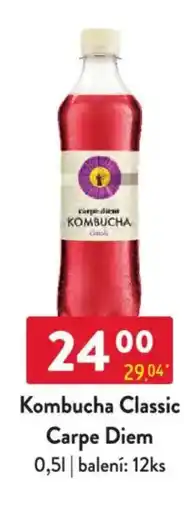 Qanto Kombucha Classic Carpe Diem nabídka