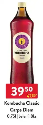 Qanto Kombucha Classic Carpe Diem nabídka
