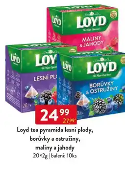 Qanto Loyd tea pyramida lesní plody, borůvky a ostružiny, maliny a jahody nabídka