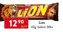 Qanto Lion nabídka