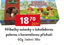 Qanto Hříbečky sušenky s čokoládovou polevou s karamelovou příchutí nabídka