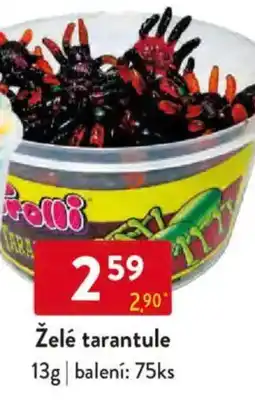 Qanto Želé tarantule nabídka