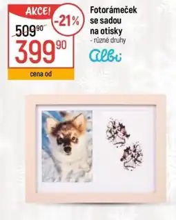 Globus Fotorámeček se sadou na otisky nabídka