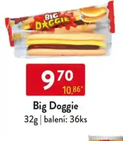 Qanto Big Doggie nabídka