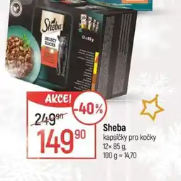 Globus Sheba kapsičky pro kočky nabídka