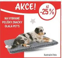 Globus Na vybrané pelíšky značky Olala pet's nabídka