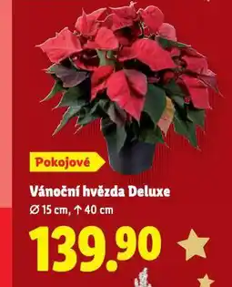 Lidl Vánoční hvězda deluxe nabídka