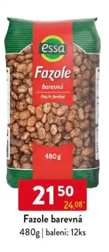 Qanto Essa Fazole barevná nabídka