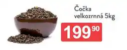 Qanto Čočka velkozrnná nabídka