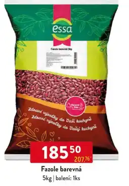 Qanto Essa Fazole barevná nabídka