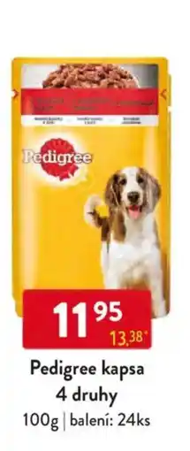 Qanto Pedigree kapsa nabídka