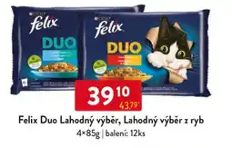 Qanto Felix Duo Lahodný výběr, Lahodný výběr z ryb nabídka
