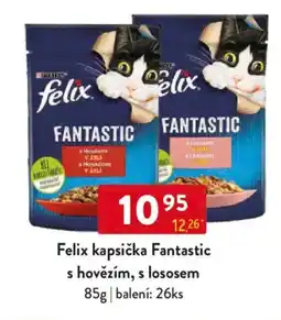 Qanto Felix kapsička Fantastic s hovězím, s lososem nabídka